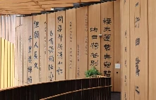 为什么篮球新人需要心理辅导_0